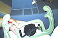 IMAG0165.JPG