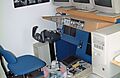 2007_0322_115444AA.JPG