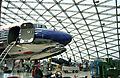 IMG_2896.jpg