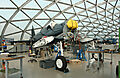 IMG_2910.jpg