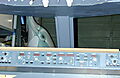DSCN0958.JPG